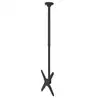 Image de NewStar Soporte de Techo para TV 37"-75" VESA 400x400 Máx. 50kg