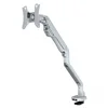 Image de NewStar Soporte Brazo para Monitor 10"/32" 100x100 Máx 8Kg Plata