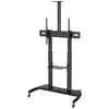 Image de NewStar PLASMA-M1950E Support TV mobile au sol jusqu'a 100 pouces