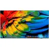 Image de TV Philips LED 50HFL6214U 50" 4K UltraHD 50Hz Smart TV Android TV Sans HDR Wi-Fi Hotel
