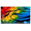 Image de TV Philips LED 65HFL6214U 65" 4K UltraHD 60Hz Smart TV Android TV HDR10 Bluetooth