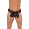 Image de Slip Tête de Chien