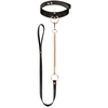 Image de Collier avec Laisse Dorée