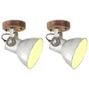 Image de VidaXL Pack de 2 Spots Muraux Industriels E27 Argent
