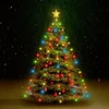 Image de Filet lumineux pour sapin de Noël vidaXL avec 210 LED, couleurs assorties, 210 cm