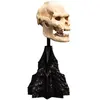Image de Figurine de collection Weta Workshop Skull of Lurtz 14 cm
