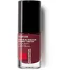 Image de Toleriane vernis silicium
