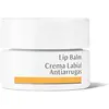Image de Dr. Hauschka Baume à Lèvres 4.5ml One Size