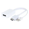 Image de Adaptateur HDMI 1.4 M + USB vers DP 1.2 F - 14cm#