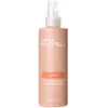 Image de Paul Mitchell Protection Solaire Pour Cheveux Color Protect Locking 250ml One Size