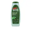Image de Palmers Shampooing Olive Oil Formula 400ml One Size