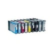 Image de T6029 - 110 ml - noir clair - original - cartouche d'encre - pour Stylus Pro 7800, Pro 7880, Pro 9800, Pro 9880