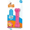 Image de Nylabone Jouet Pour Chien Dental Chew
