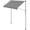 Image de Store banne rétractable avec manivelle, Gris / 250L cm