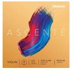 Image de A312 4/4M - Corde seule (la) violon 4/4 Ascenté, Medium