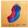 Image de A314 1/4M - Corde seule (sol) violon 1/4 Ascenté, Medium