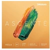 Image de Jeu Ascente Diapason Long Medium Cordes alto