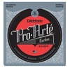 Image de EJ45FF Pro Arte Fluorocarbon Tirant Normal