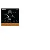 Image de KA314 4/4L - Corde seule (sol) violon 4/4 Amo, light