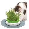 Image de Jardin Herbe Pour Chat Senses 2.0