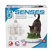 Image de CAT IT Jardin dherbe a chat