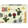 Image de Midi Boite Art Cactus