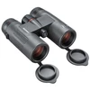 Image de Bushnell Jumelles Nitro 10x36mm