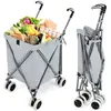 Image de Chariot de Courses Pliable 90 L Sac Oxford (Gris)