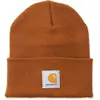Image de Carhartt Bonnet Iconic A18 Watch One Size