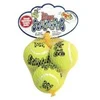 Image de Kong airdog squeakair ball - s