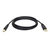 Image de Tripp Lite 6ft USB Cable Hi-Speed Gold Shielded USB 2.0 A/B Male / Male 6' - câble USB - 1.8 m