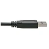 Image de Tripp Lite Series USB-C to USB-A Cable (M/M), USB 3.2 Gen 2 (10 Gbps), USB-IF Certified, Thunderbolt 3 Compatible, 3 ft. (0.91 m) - Câble USB - 24