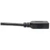 Image de Tripp Lite Series USB Type-C to USB Type-A Adapter Cable, M/F, 3.1, Gen 1, 5 Gbps, USB-IF, 6 in. - Thunderbolt 3 - Adaptateur USB - 24 pin USB-C (M)