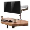 Image de Tripp Lite Bras double orientable pour écran de 13' à 34'