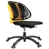 Image de SUPPORT DORSAL
