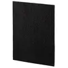 Image de Filtre Carbone pour DX55 Noir