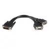 Image de StarTech 8in LFH 59 to Dual VGA DMS 59 Cable