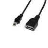Image de StarTech 1ft Mini USB 2.0 Cable - USB A to Mini B