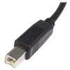 Image de Câble USB 2.0 A vers B de 3 m - Cordon USB A vers USB B - M/M - Câble USB - USB (M) pour USB type B (M) - USB 2.0 - 3 m - noir