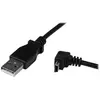 Image de Câble Mini USB 2 m - A vers Mini B coudé 90° vers le bas - Câble USB Mini B Angle Coude vers le bas - Noir 2m - Câble USB - USB (M) pour mini USB
