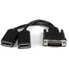 Image de StarTech 8in DMS-59 to Dual DisplayPort Cable