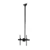Image de StarTech TV Mount Ceiling - For 32"-70" TV