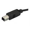 Image de Câble USB-C vers USB-B de 2 m - USB Type-C - USB 2.0 - Câble USB - 24 pin USB-C (M) pour USB type B (M) - Thunderbolt 3 / USB 2.0 - 2 m - noir