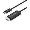 Image de Adaptateur USB C vers HDMI Startech CDP2HD2MBNL Noir (2 m)