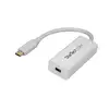 Image de StarTech USB-C to Mini DisplayPort Adapter - 4K60