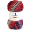 Image de Pelote de laine à tricoter BRIO - DMC(...) - Multicolore (416)