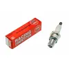 Image de Bougie NGK Racing R6918B-9 - Moteur NGK