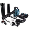 Image de DUB363PT2V sans fil DUB363PT2V Souffleur, Aspirateur avec 2ème batterie, avec chargeur 36 V