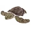 Image de Peluche Cuddlekins Tortue de mer verte