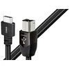 Image de AudioQuest Câble USB B vers C carbone 1,5 m en occasion ou reconditionné